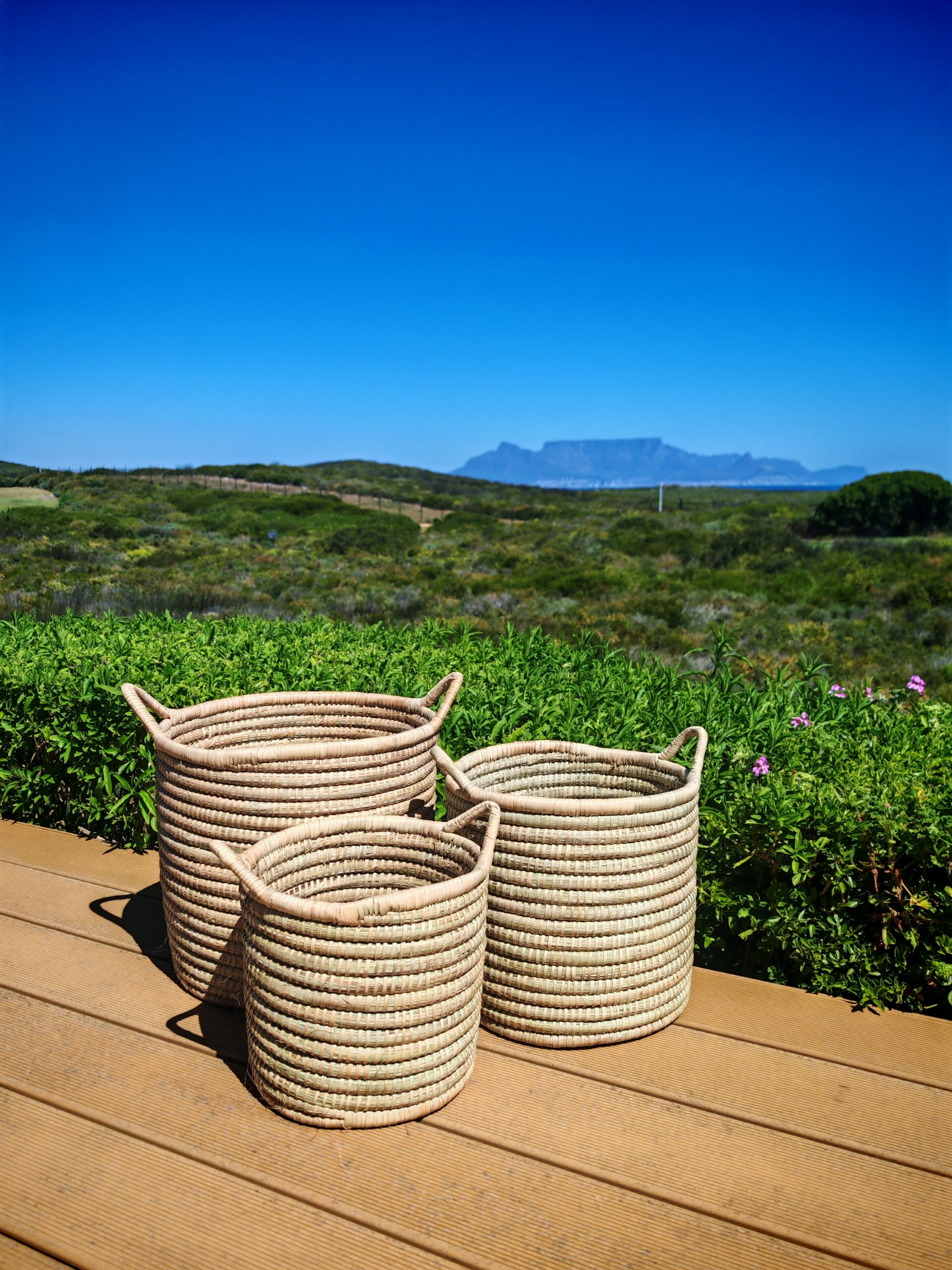 The Planter Baskets
