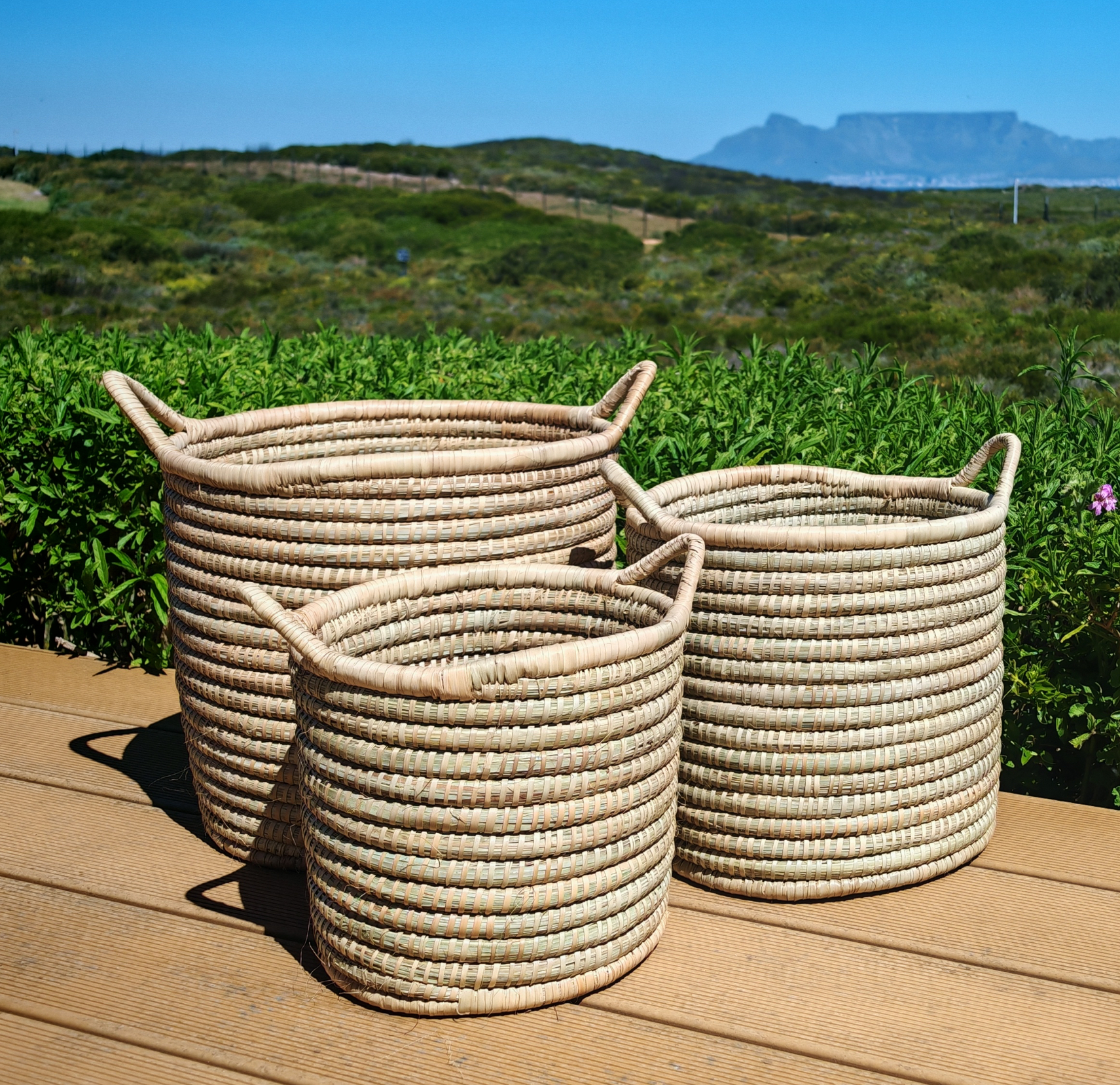 The Planter Baskets - Image 2